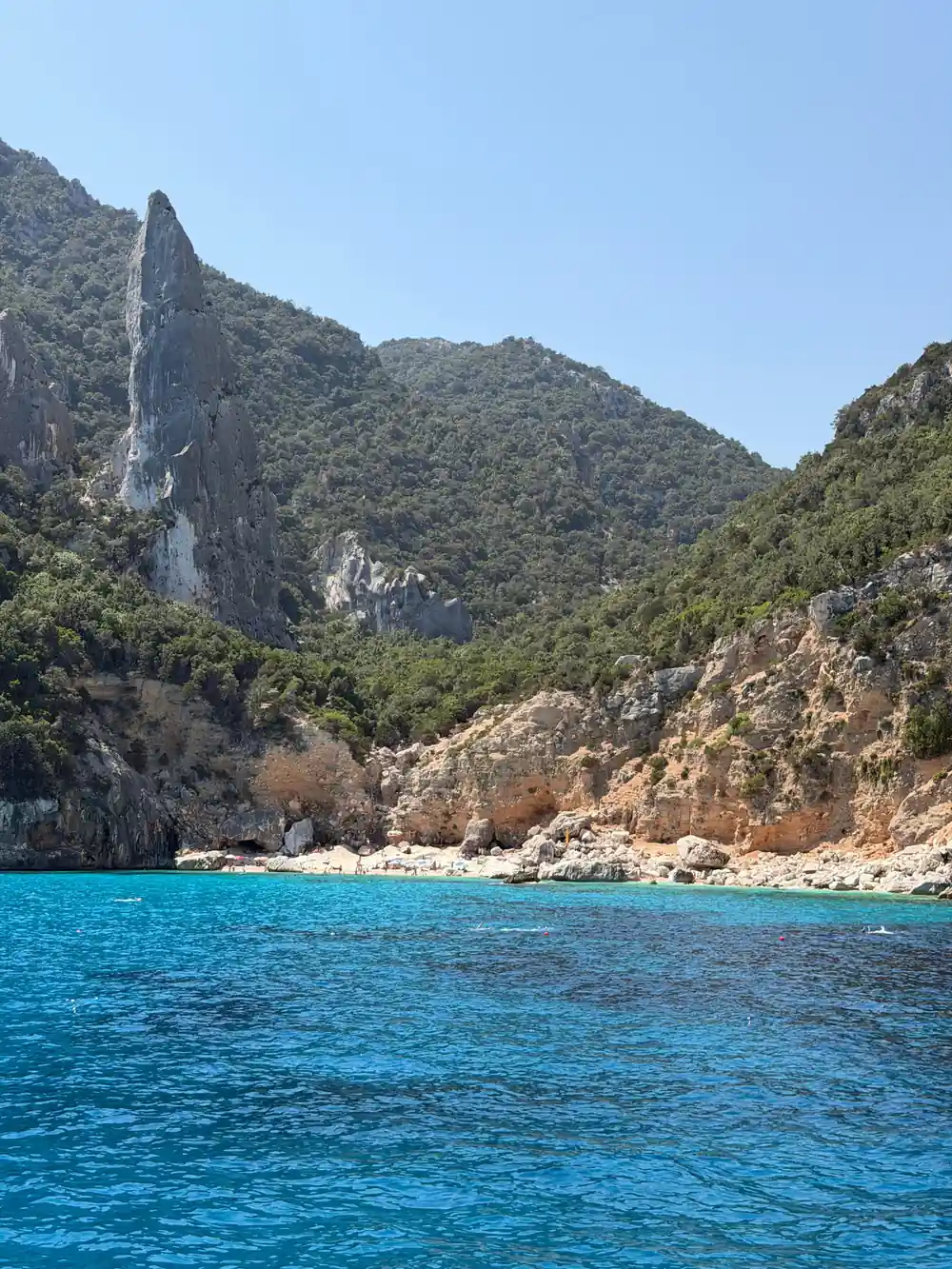 Rocky cove with small beach nestled between green cliffs