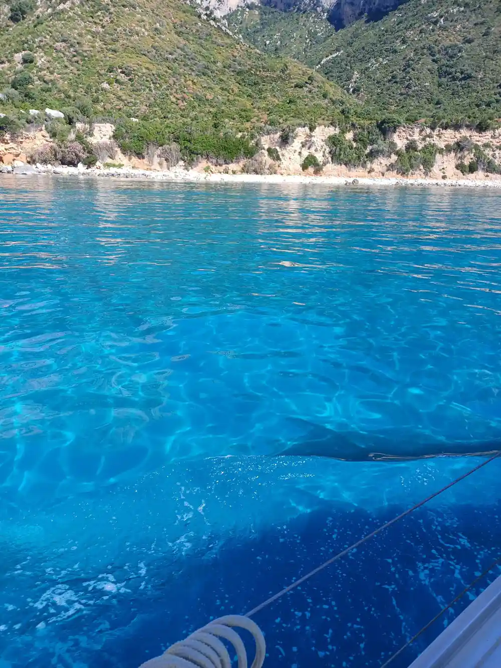 Rope from boat with green hills and rocky coastline